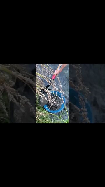 Gold panning my old tailings! Did I lose any?