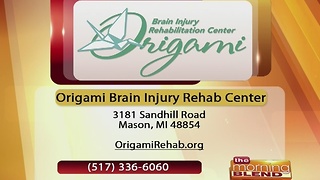 Origami Brain Injury Rehab Center - 1/17/17