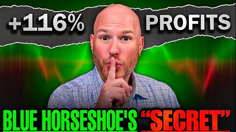 Blue Horseshoe: Achieving 116% Profits with Euro-USD Trading