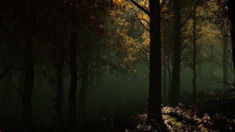 Silence before the storm