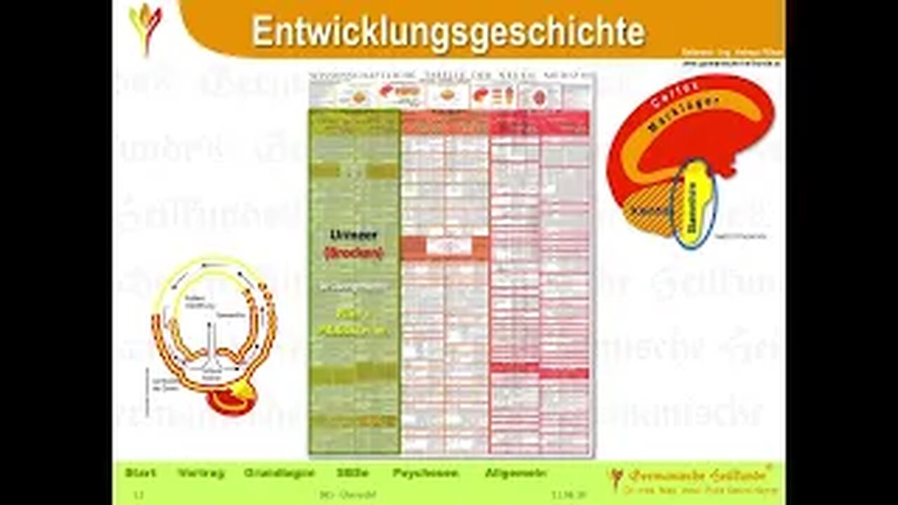 Kinderkrankheiten 1 - Darm Ohr Mund Nierensammelrohr Augen