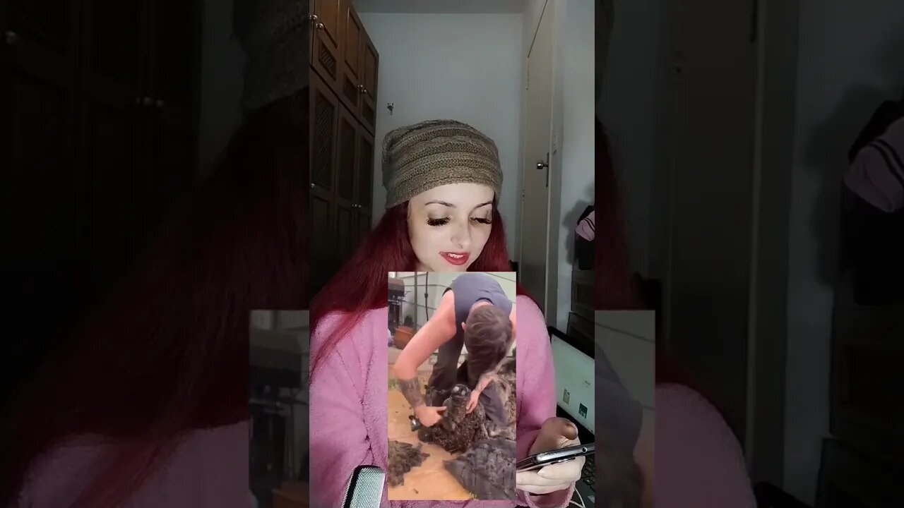 Quando Jesus nos liberta do pecado ✝️