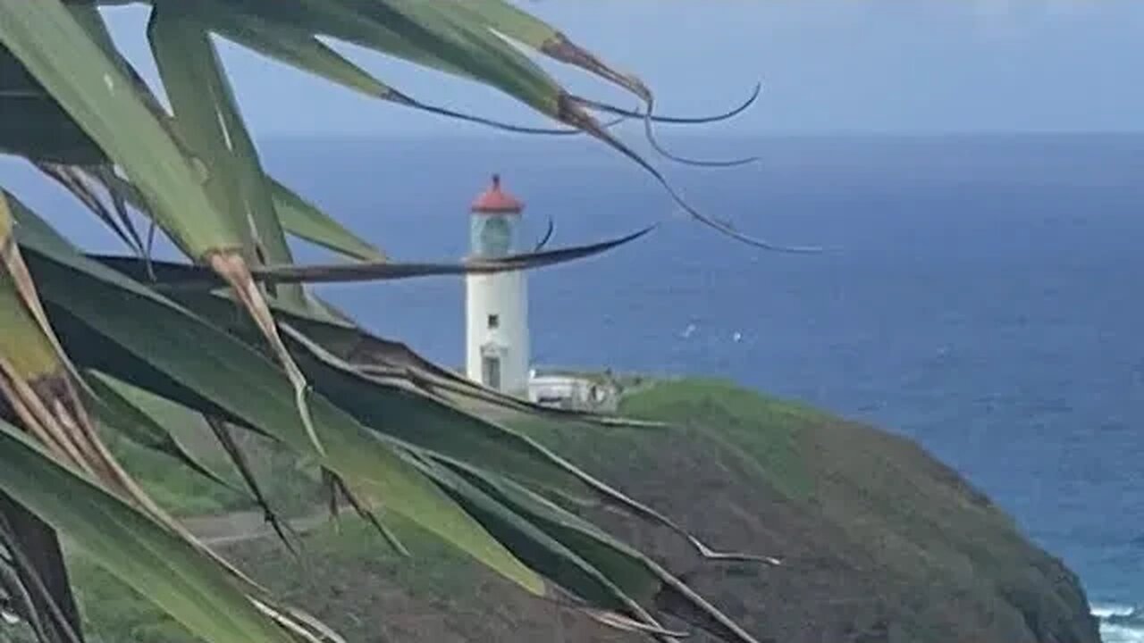 KĪLAUEA MARINE LIFE & BIRD SANCTUARY & LIGHTHOUSE
