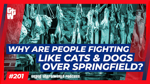 Why are People fighting like Cats & Dogs over Springfield? | #GrandTheftWorld 201 (Clip)