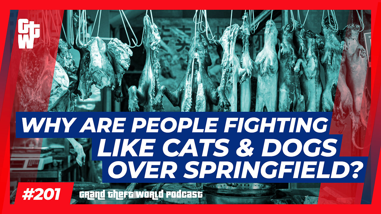 Why are People fighting like Cats & Dogs over Springfield? | #GrandTheftWorld 201 (Clip)