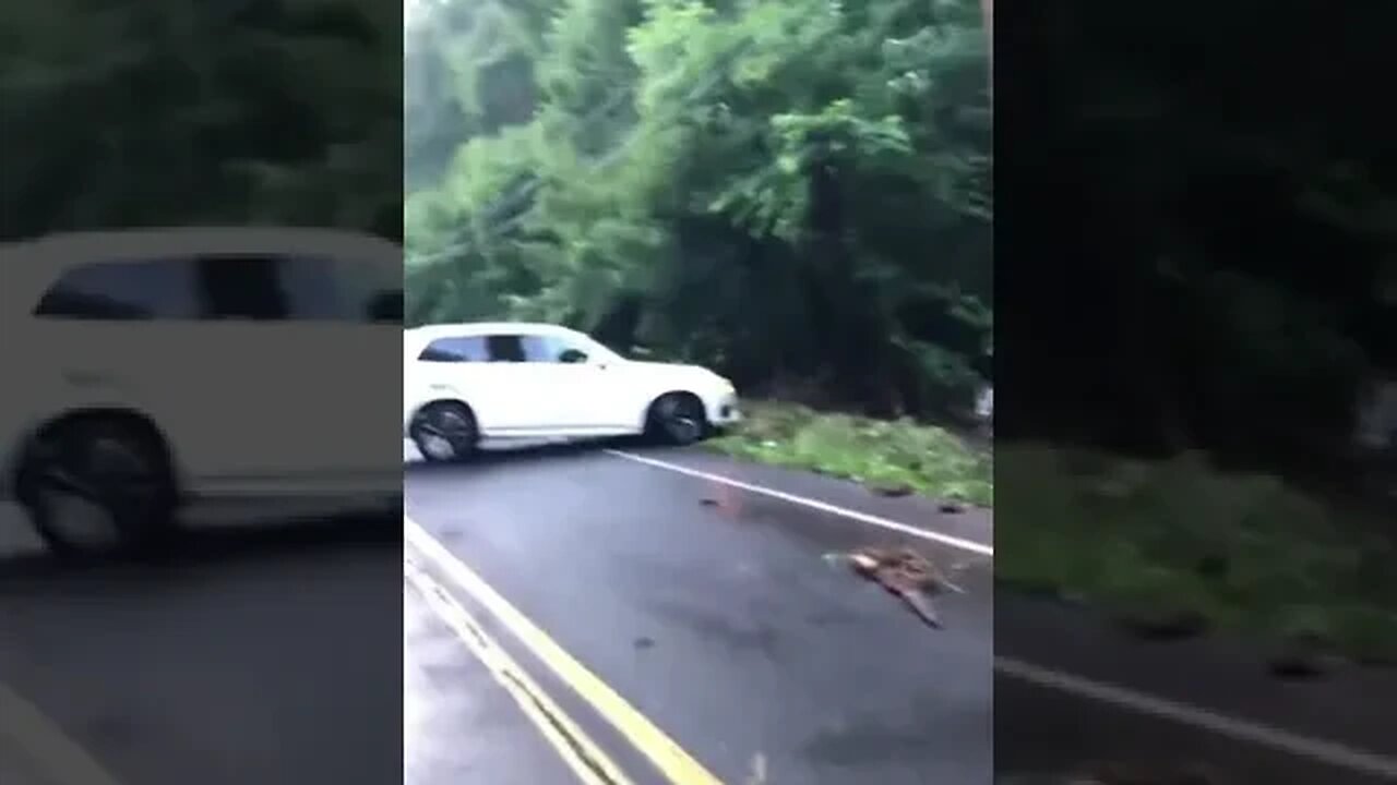 Multiple homes are evacuated in New Jersey after lightning strikes...