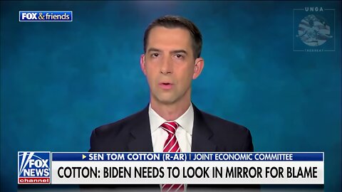 Tom Cotton: Biden Needs to Look In the Mirror to Find the Problem