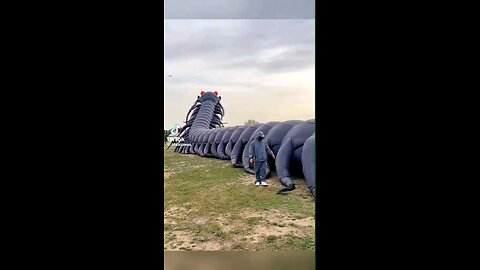 "Spectacular Giant Black Centipede Balloon"