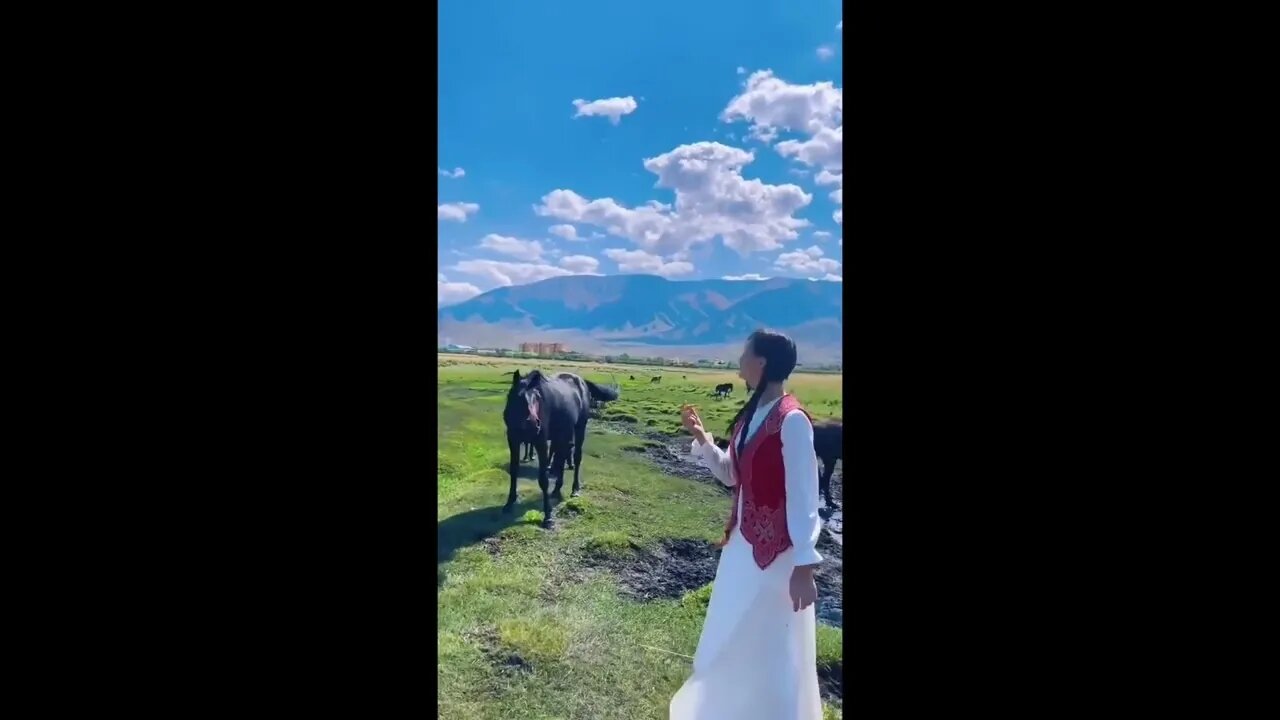 Horse enjoying a good beat
