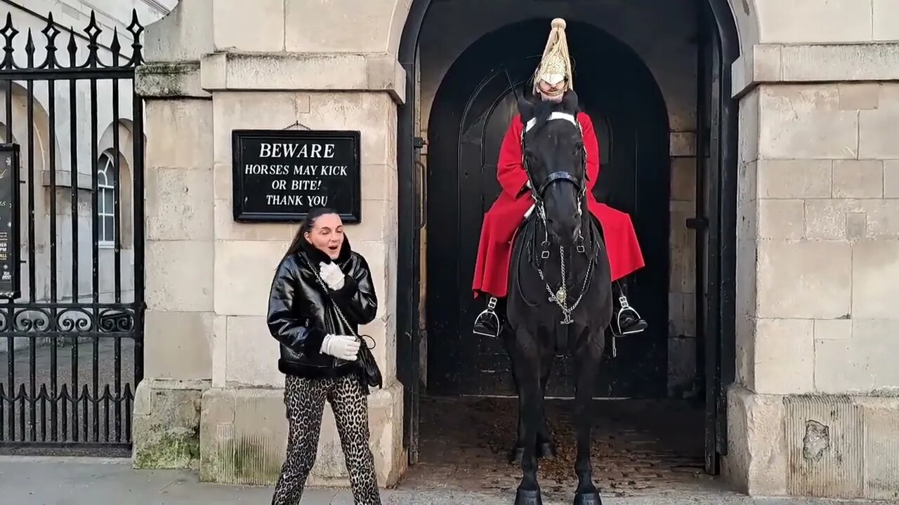 THE TOURIST GETS MORE THAN A TAP ON THE SHOULDER Horse bites (ARNI THETOURISTHATER) #thekingsguard