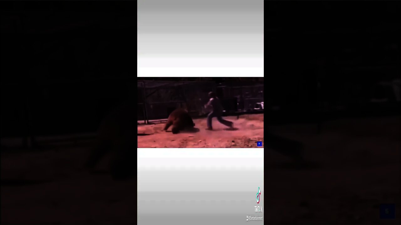 Killer Rocky