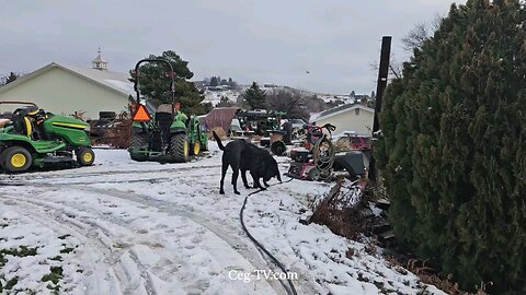 Graham Family Farm: 12:10 PM December 16th 2024