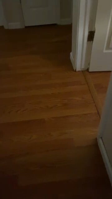 They were so quiet so I had to check on them and this is what I found