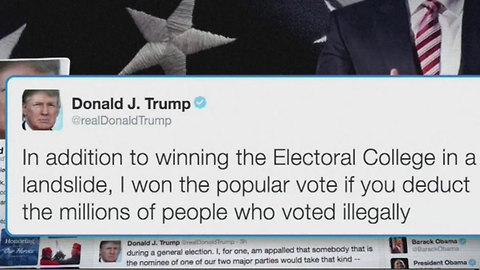 Did millions of American vote illegally?