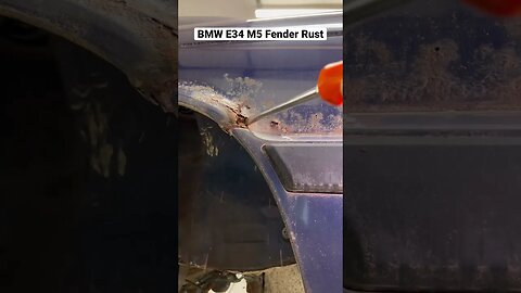 BMW E34 M5 Fender Rust #shorts #bmw #cars #automotive #bmwm5 #bmwe34 #diy #restoration #mechanic