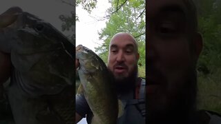 Skinny water smallmouth