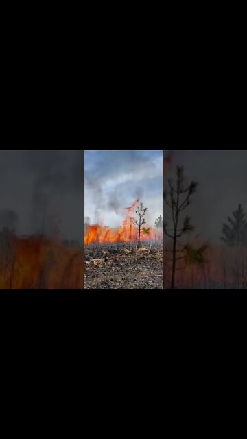 Controlled burn￼