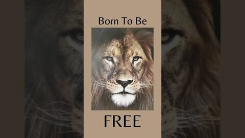 Born To Be...