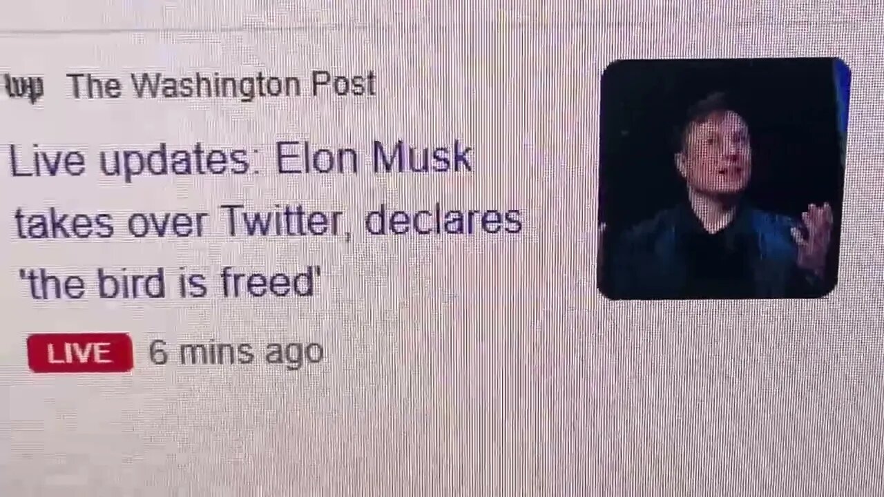 ELON DID IT!!! #twitter #elonmusktwitter