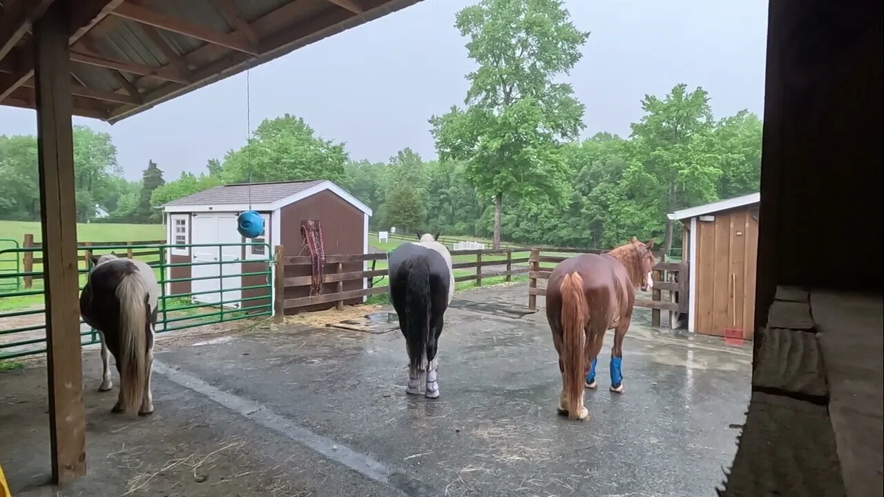 Enjoying the cool rain