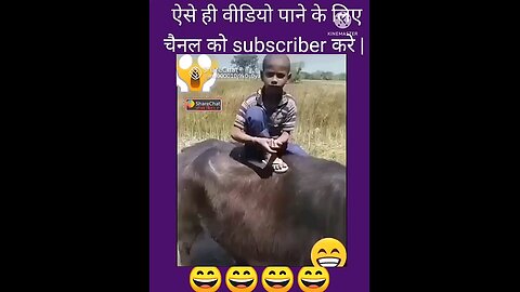 jumka dilaunga kangana dilaunga teri kasam comedy video