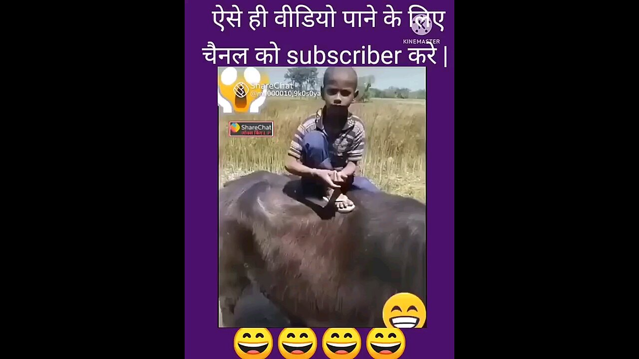 jumka dilaunga kangana dilaunga teri kasam comedy video