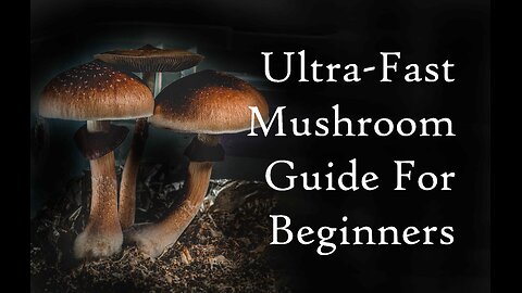 Everything You Need to Know About Growing Mushrooms in 7 Minutes or Less