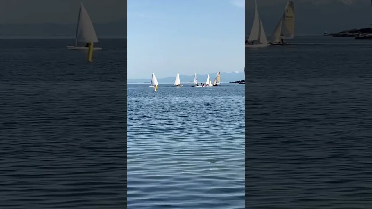 Cadbora-Gyro Park Victoria Bc #vancouverisland #sailing #ocean