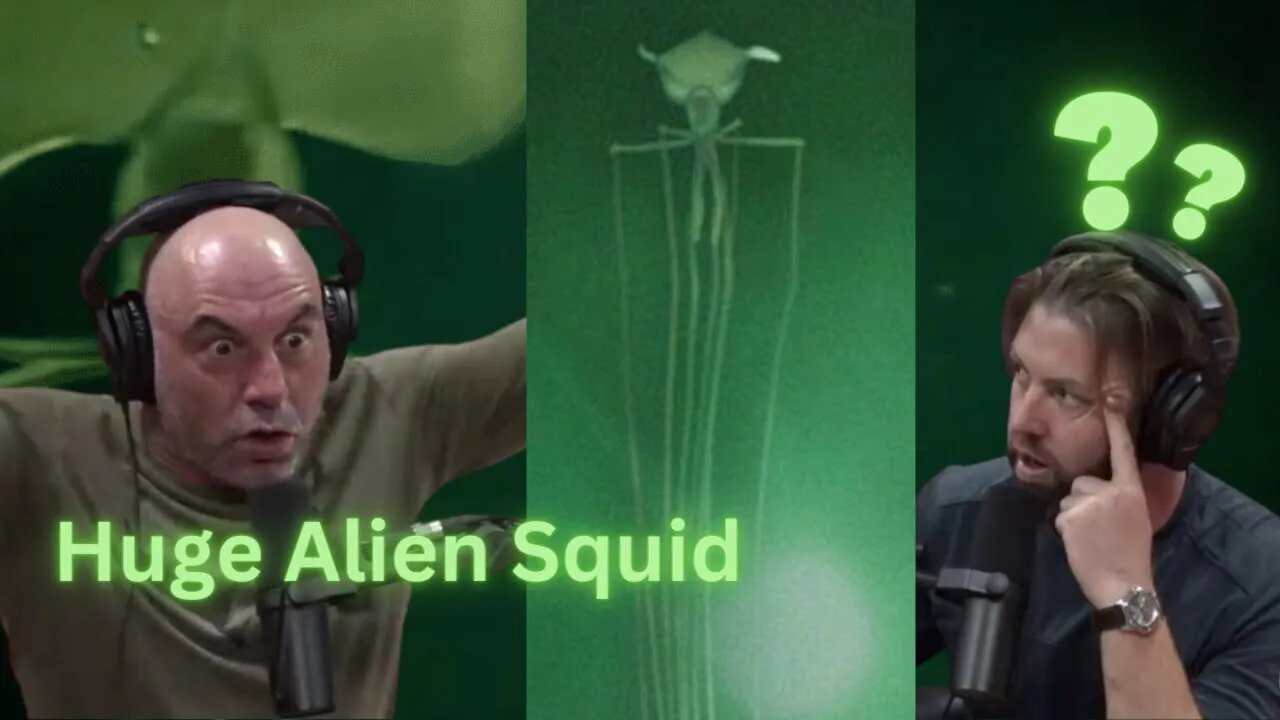 Joe Rogan and Forrest Galante reacting and talking about the huge alien squid found near oil rigs