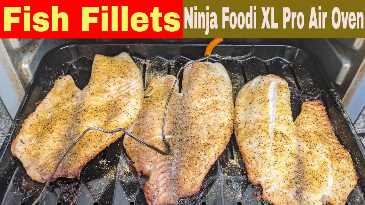 Grilled Fish Air Fryer Oven Recipe Ninja Foodi XL Pro Air Fry Oven