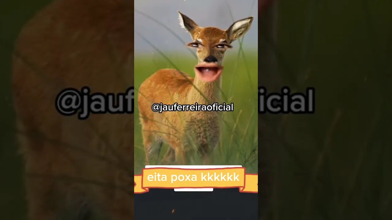 mulher não foi eu