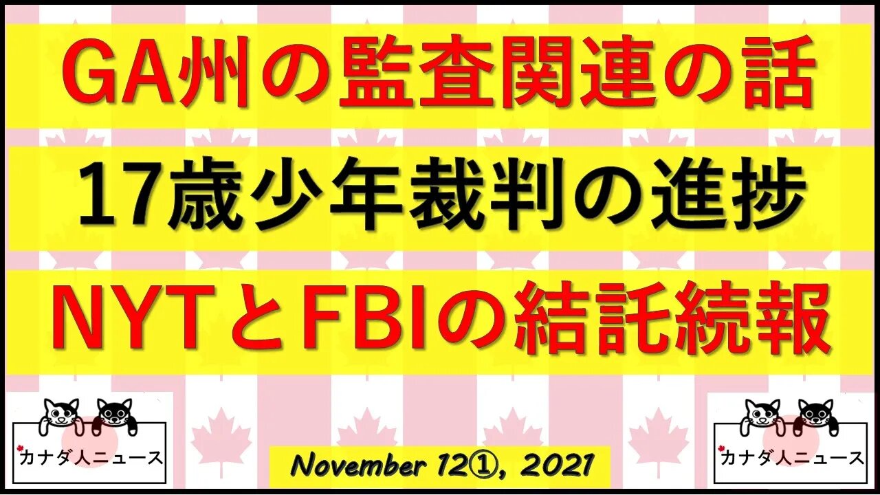 GA州スキャンデータ抹消/NYTとFBIの結託続報/少年裁判続報