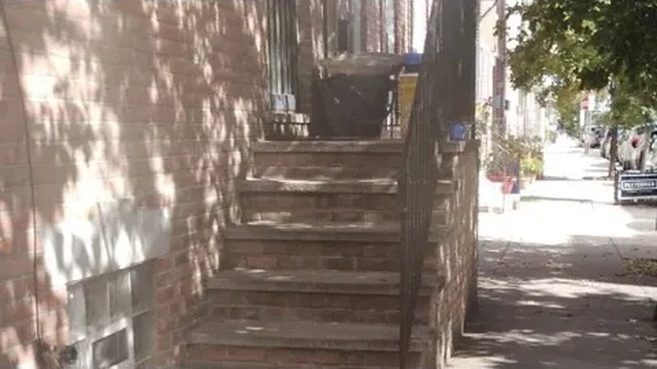 Post-Dog Walk Walk Back Home-Ish