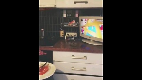 funny videos