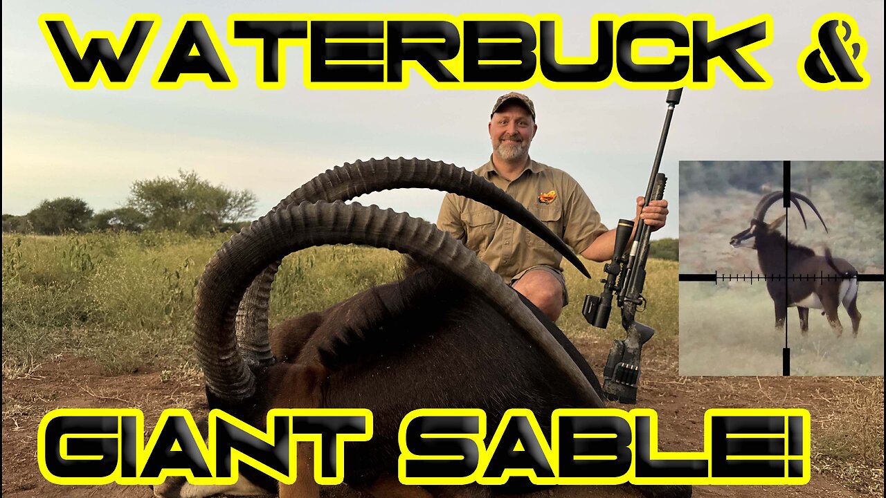 Waterbuck and Sable Hunting in South Africa