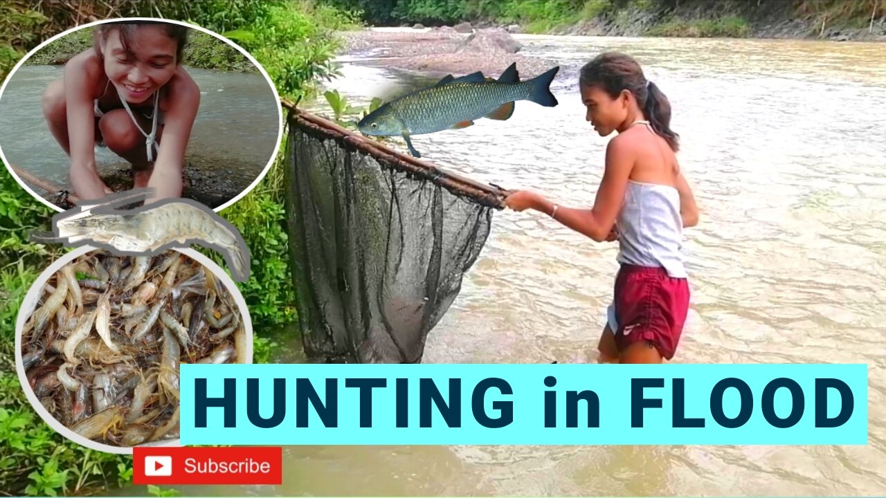 PROVINCE LIFE PH _ Catching Shrimps in the Flooded River TRAILER