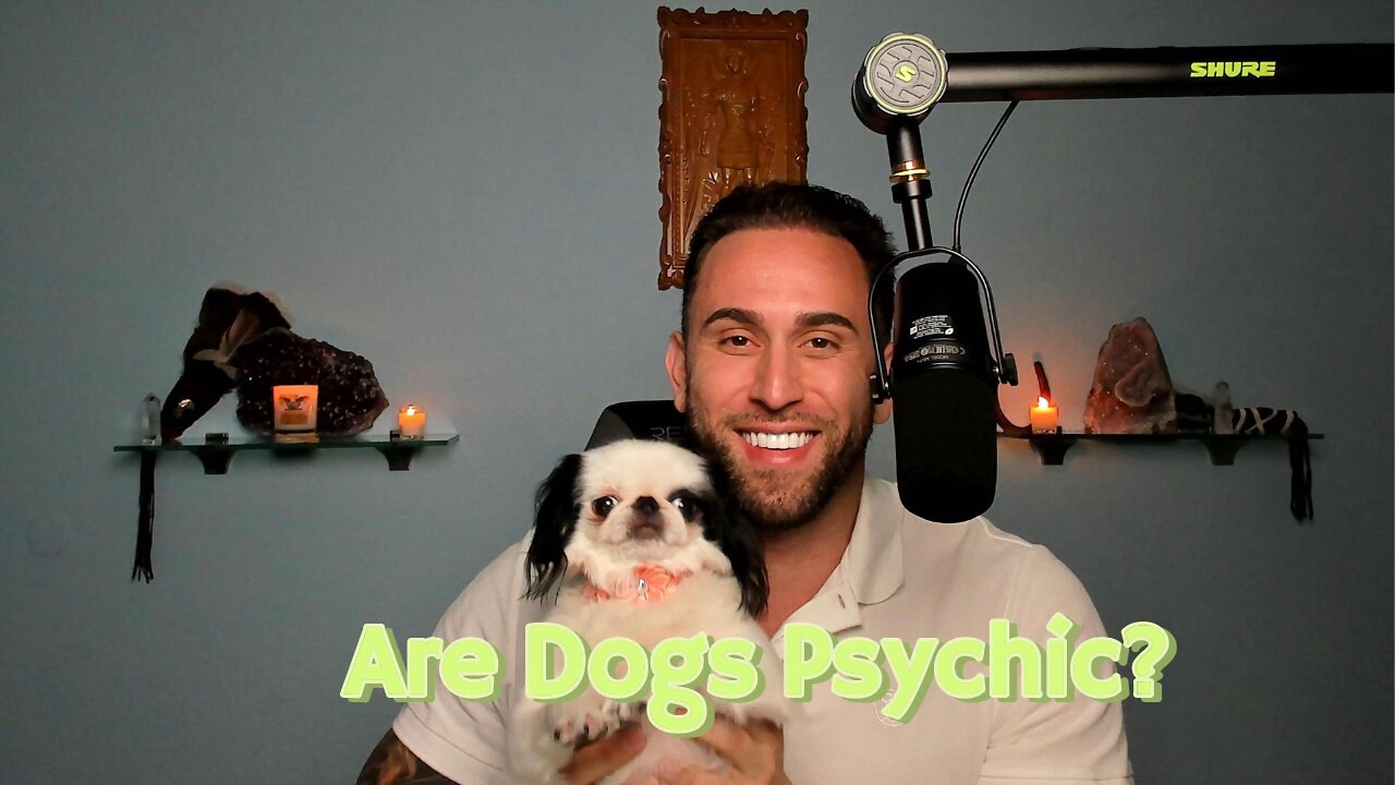 Are Dogs Psychic?