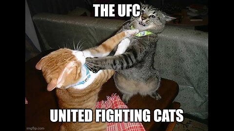 fighting for his princess 👰