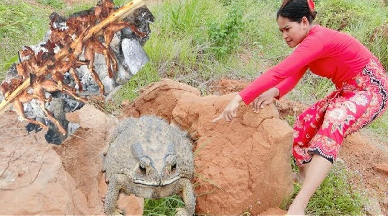 Survival skills - find frog cook Eating delicious (My life)