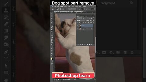 how remove spot part on 🐶 -short #shorts #photoshop