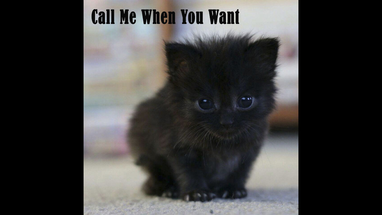Call Me When You Want...