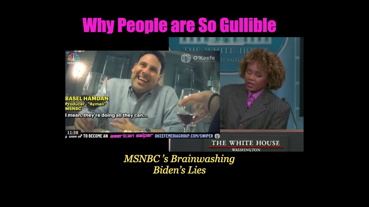 Why are People So Gullible? MSNBC Admits Brainwashing