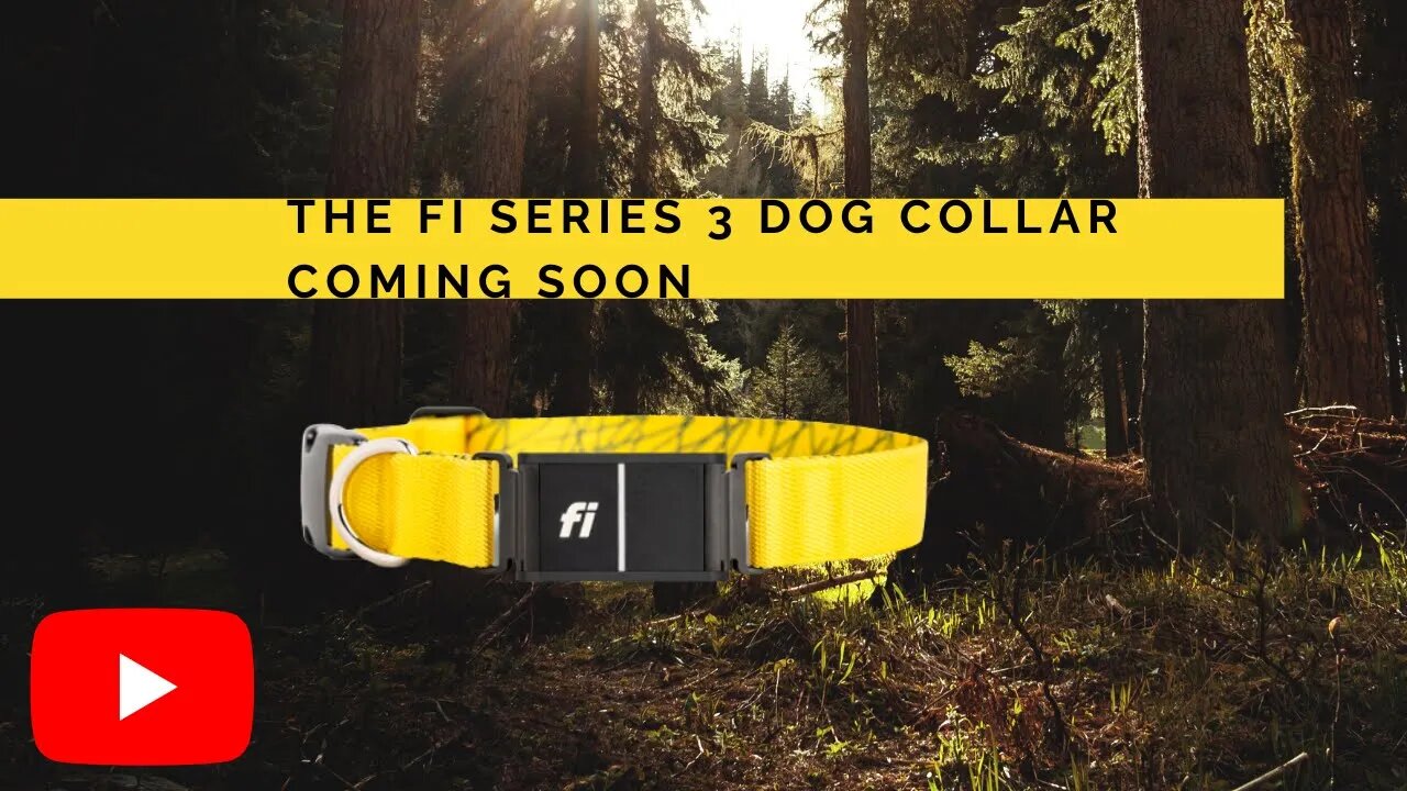 FI Series 3 Dog Collar Coming Soon