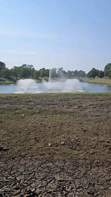 My Peaceful Place - Am I a Trumper?