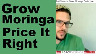 Selling Your Moringa Trees | Shipping Boxes & Pricing Your Time + Labor | Learn How To Make a Living