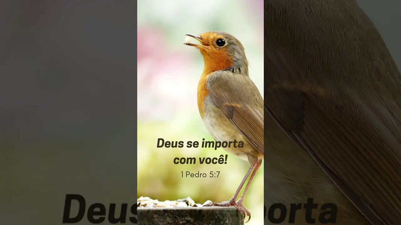 Deus é contigo em todo tempo #shorts