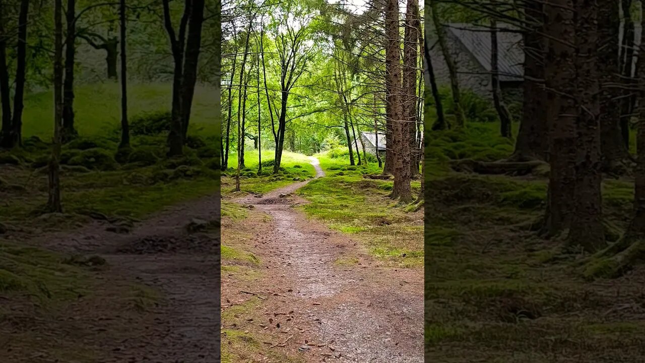 Rowchoish bothy on The West Highland Way Scotland