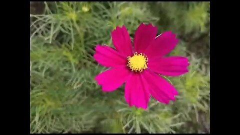 Beautiful Prayer Video