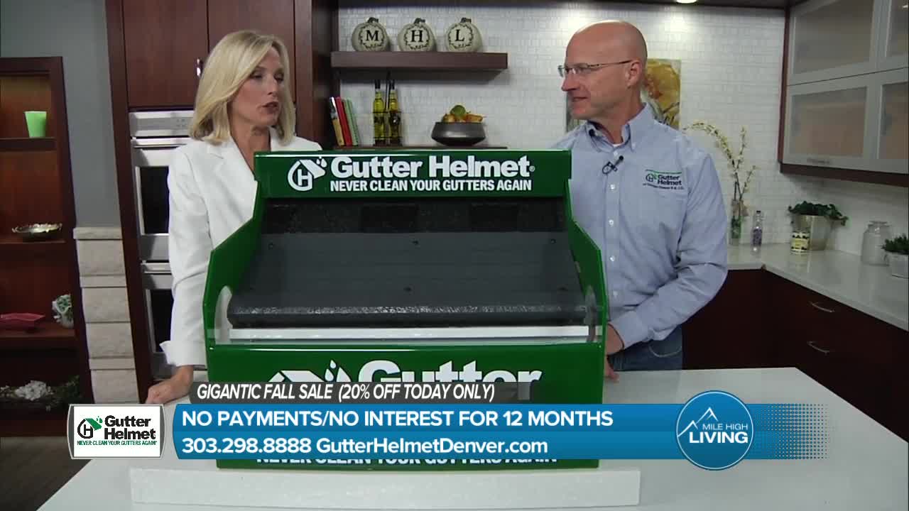 Gutter Helmet- 20% off TODAY only