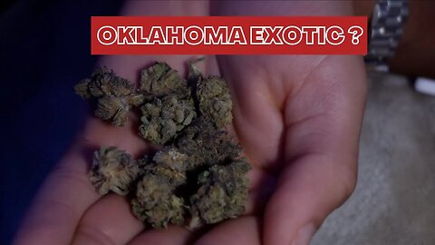 Trying Oklahoma Exotic Tree